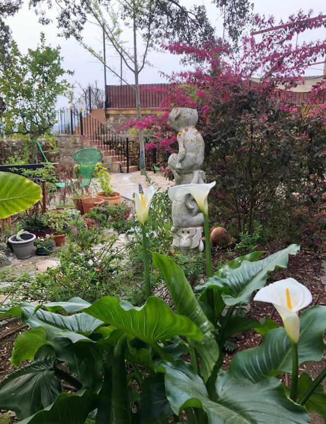 la mesonera patiopiscinacasarural