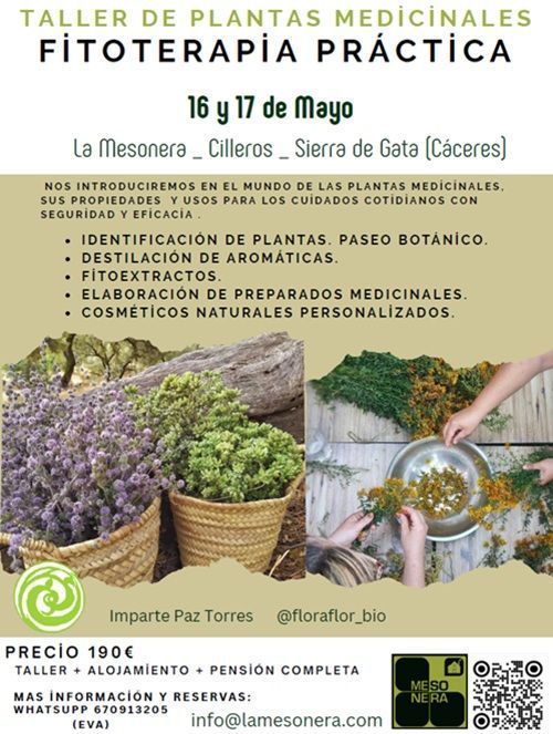lamesonera taller plantas medicinales